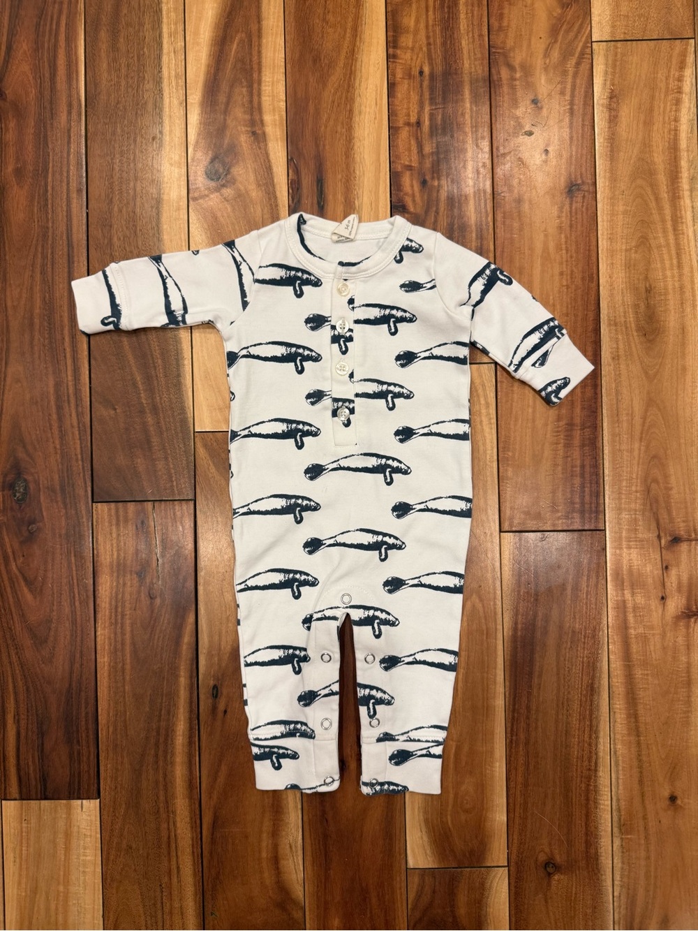 kate quinn Cream One-Piece with Navy Whale Print